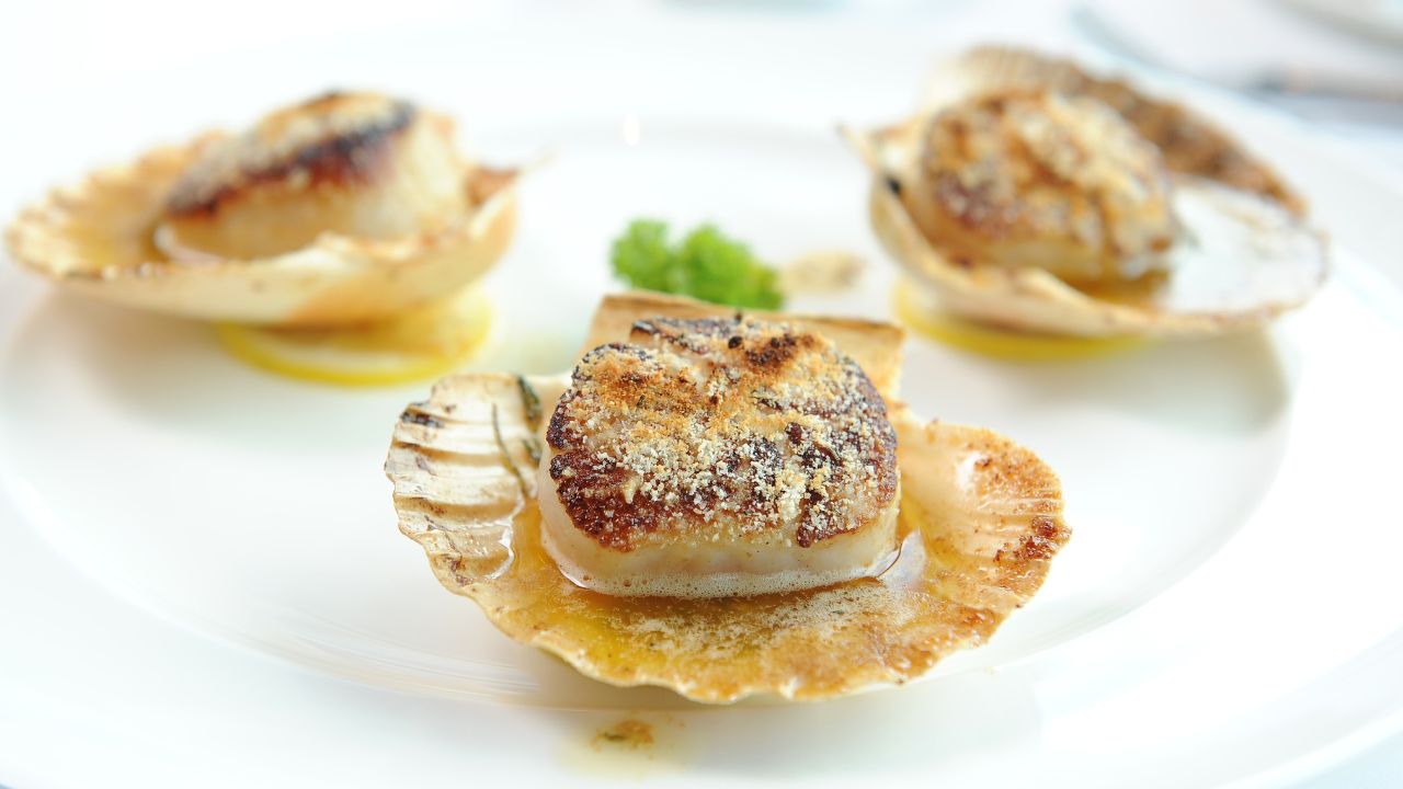 30 Best Scallop Recipes For Lovers Of Seafood
