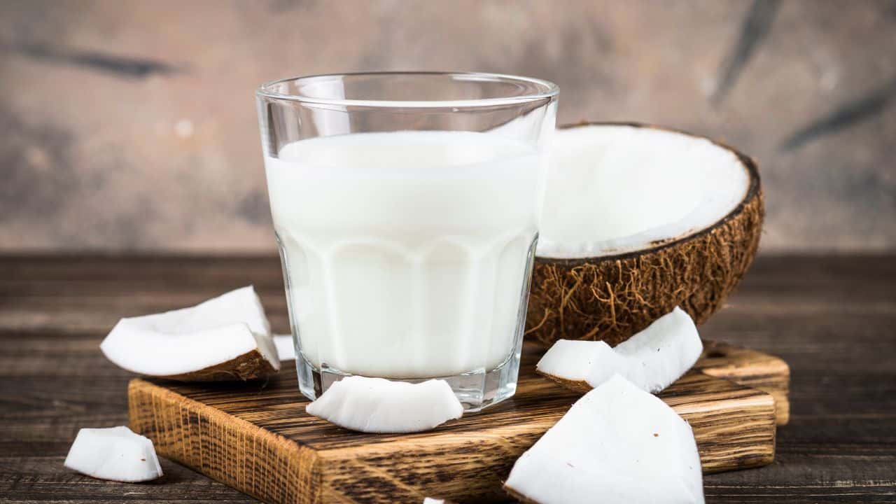10 Substitutes For Coconut Milk