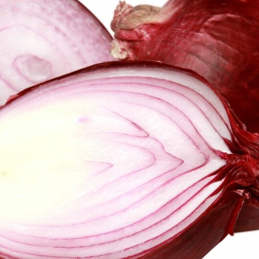 7 Onion (Fresh, Chopped, Or Dried) Substitutes