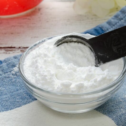 13 Best Baking Powder Substitutes You Need To Try! 