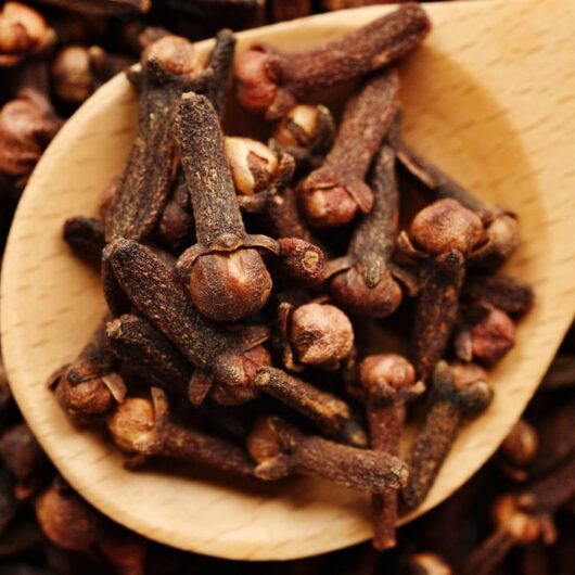 5 Substitutes For Cloves 