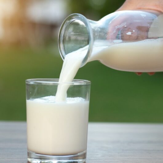 6 Milk Alternatives