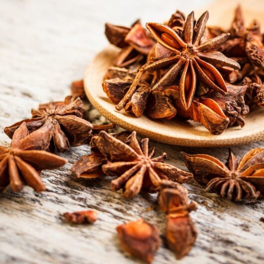 6 Star Anise Substitutes 