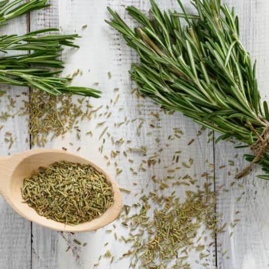 6 Substitutes For Rosemary 