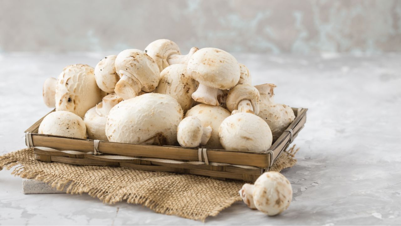 7 Cremini Mushroom Substitutes