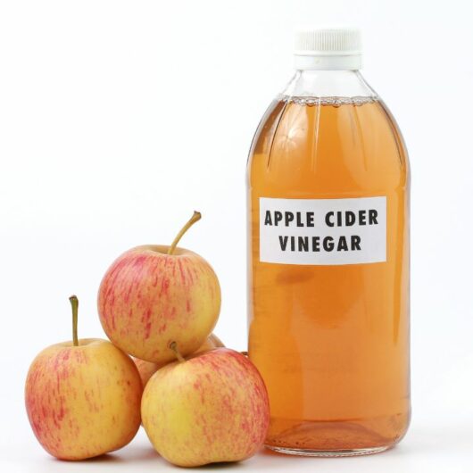 9 Apple Cider Vinegar Substitutes  