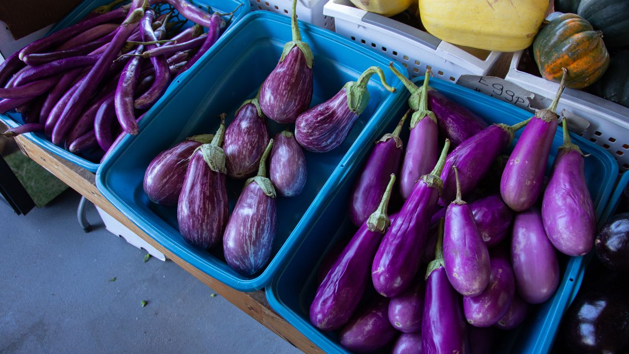 Eggplant Nutritional Value