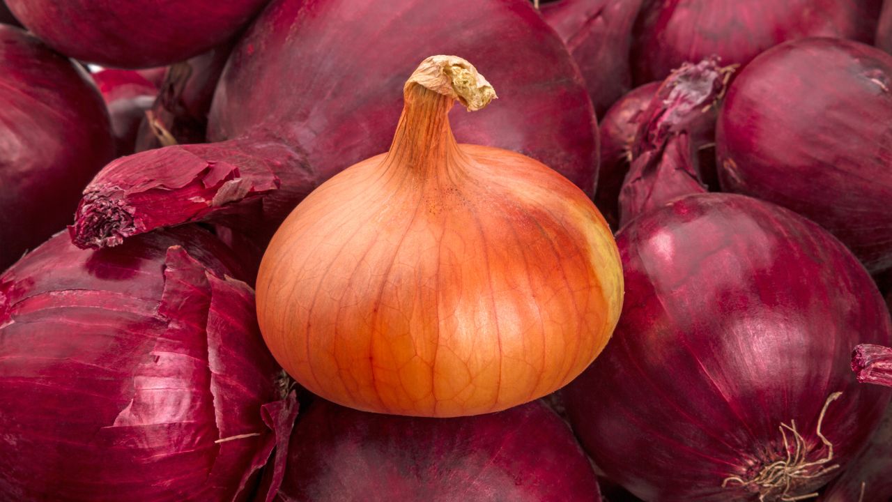 Red Or Yellow Onions