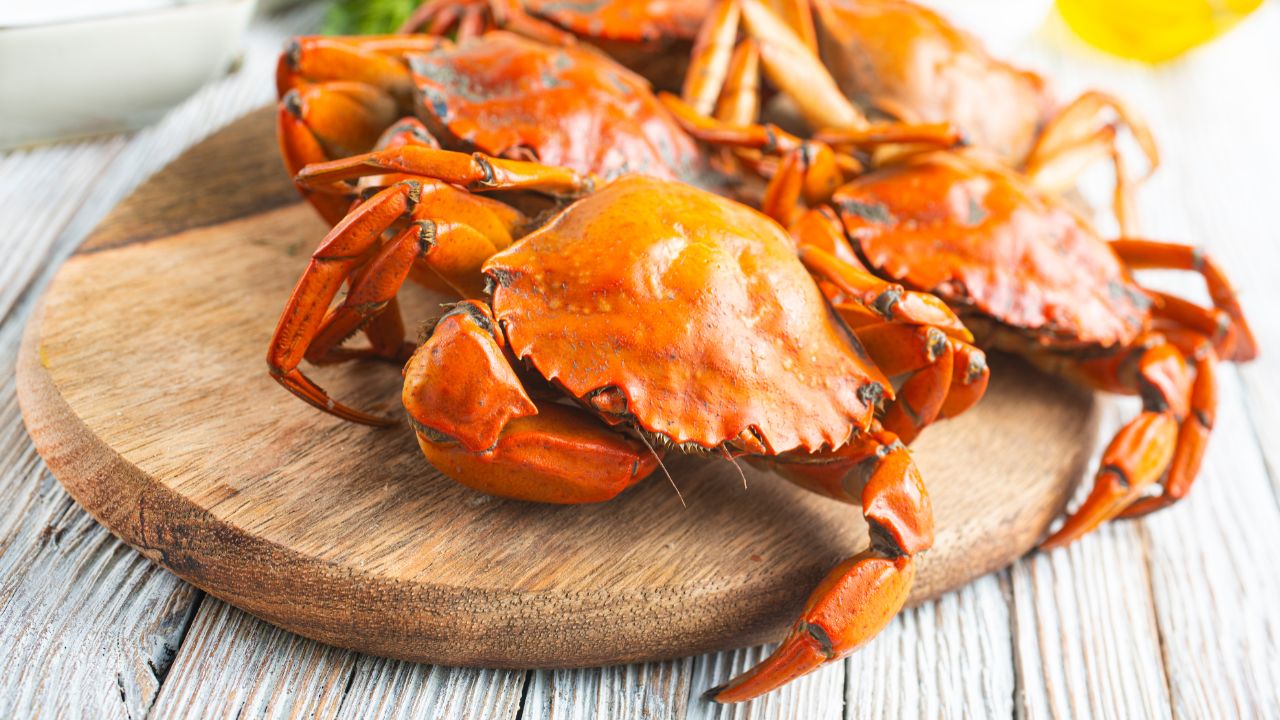 Want Crab - Here are 11 of the Tastiest Crabs You Can Eat!