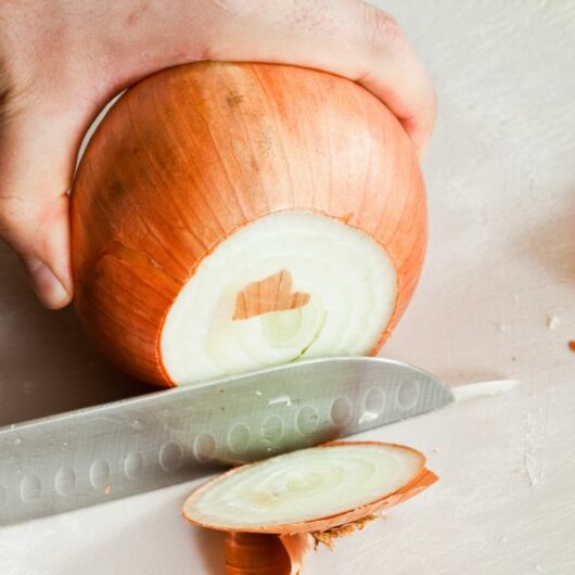 5 Substitutes You Can Use Instead Of Spanish Onions