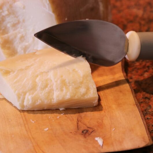5 Amazing Substitutes for Grana Padano Cheese