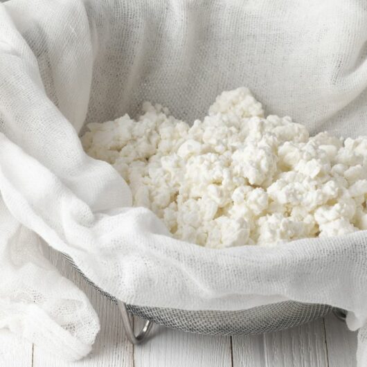 5 Of The Best Substitutes For Cheesecloth You Need To Try!