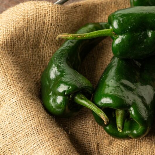 5 Substitutes For Sports Peppers You Should Try Today