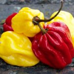 5 Substitutes To Use Instead Of Scotch Bonnet Pepper