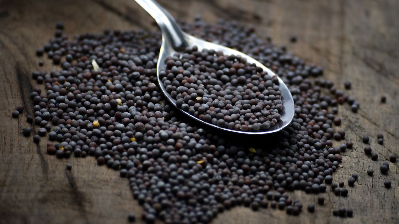 5 Substitutes You Should Try Instead Of Black Mustard Seeds