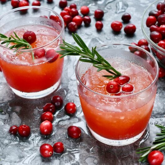 23 Cranberry Cocktails For The Festive Season