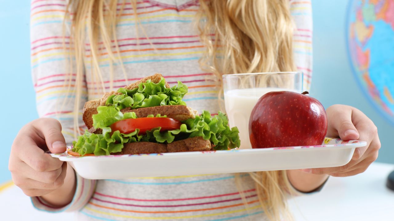 School Lunch Meal Ideas Your Kids Will Love