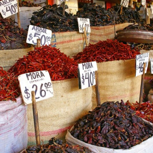 The 8 Best Substitutes For Ancho Chile Peppers