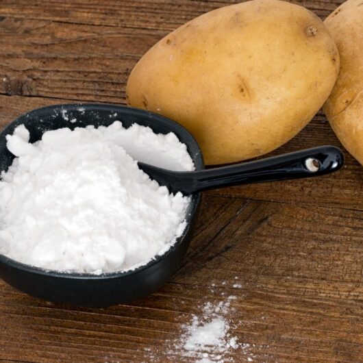 What Can I Use Instead Of Potato Starch? 5 Amazing Substitutes