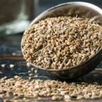 What Makes Celery Seeds Amazing, And 5 Substitutes You Can Use
