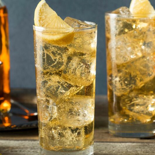 20 Best Ginger Ale Cocktail Recipes You Need To Try!