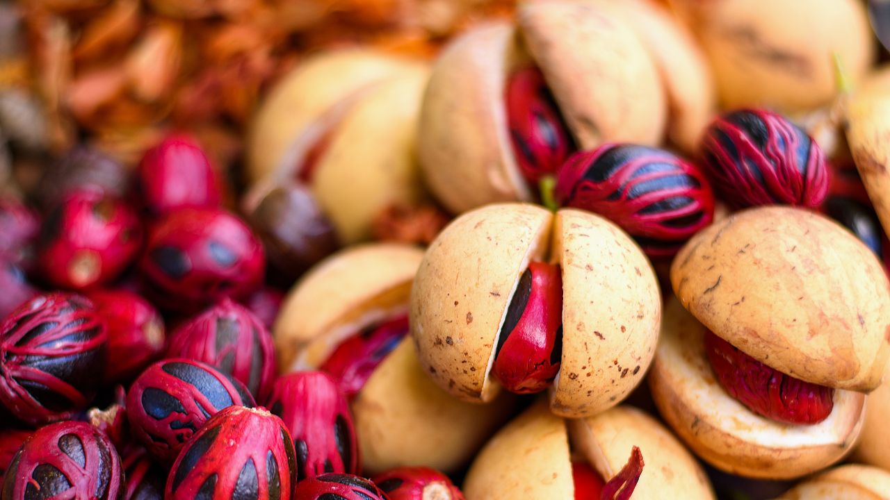 Nutmeg Fruit 