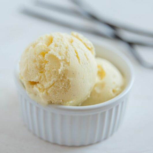 21 Of The Easiest Vanilla Ice Cream Recipes Made Using A Vitamix!