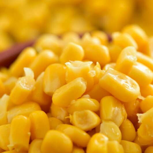 31 Corn Recipes You Are Going To Love