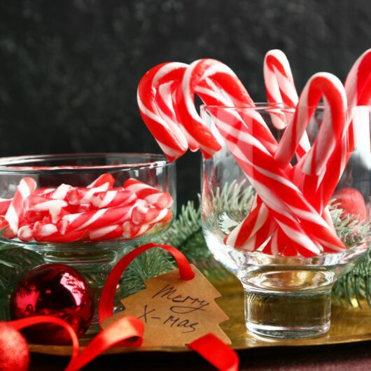 33 Festive Christmas Candy Recipes For The Holiday Season
